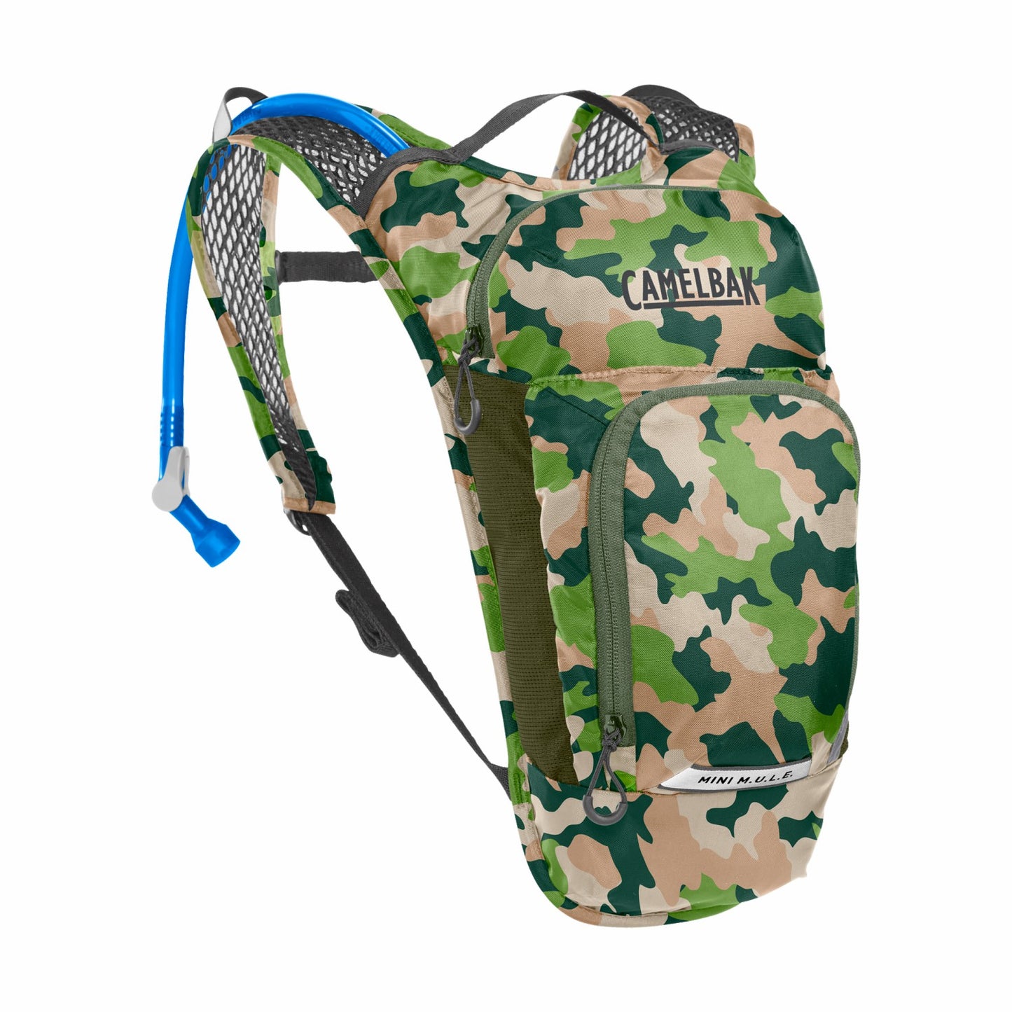 Camo,NS